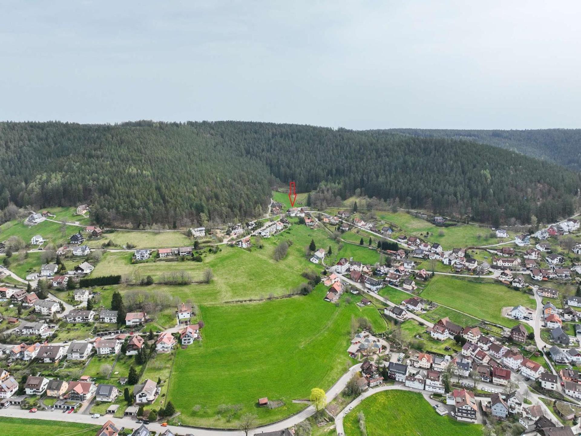 Pension Talblick Baiersbronn Exterior photo